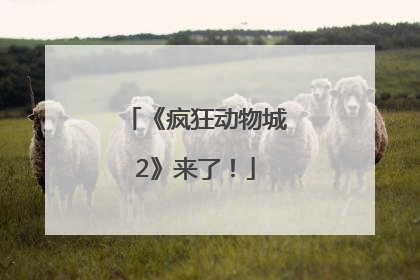 《疯狂动物城2》来了！