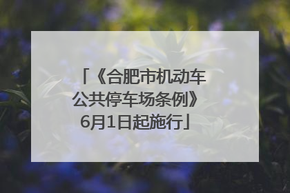 《合肥市机动车公共停车场条例》6月1日起施行