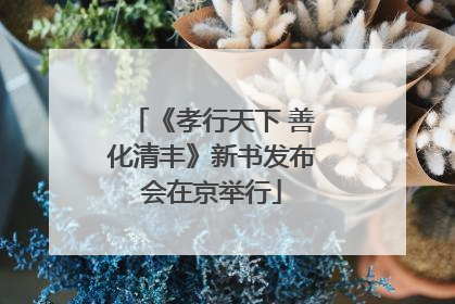 《孝行天下 善化清丰》新书发布会在京举行