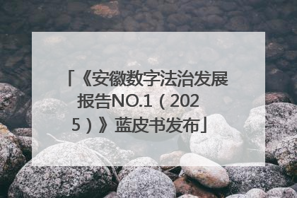 《安徽数字法治发展报告NO.1（2025）》蓝皮书发布