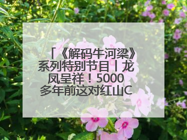 《解码牛河梁》系列特别节目丨龙凤呈祥！5000多年前这对红山CP竟这么好嗑