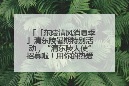 「东陵清风消夏季」清东陵暑期特别活动，“清东陵大使”招募啦！用你的热爱守护世界遗产！
