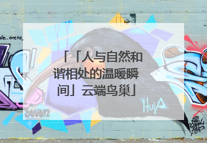 「人与自然和谐相处的温暖瞬间」云端鸟巢