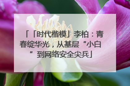 「时代楷模」李柏：青春绽华光，从基层“小白”到网络安全尖兵