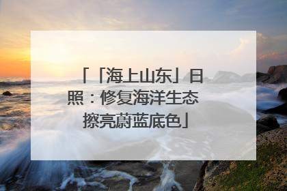 「海上山东」日照：修复海洋生态 擦亮蔚蓝底色