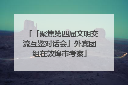 「聚焦第四届文明交流互鉴对话会」外宾团组在敦煌市考察