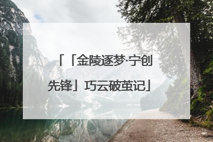 「金陵逐梦·宁创先锋」巧云破茧记
