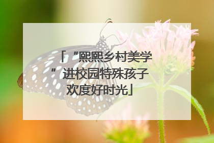 “熙熙乡村美学”进校园特殊孩子欢度好时光