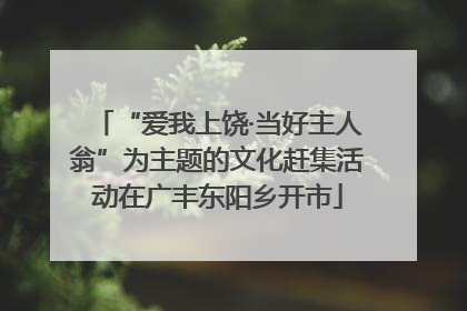 “爱我上饶·当好主人翁”为主题的文化赶集活动在广丰东阳乡开市