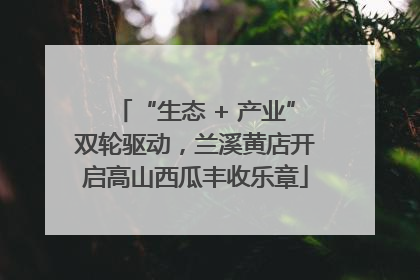 “生态 + 产业”双轮驱动，兰溪黄店开启高山西瓜丰收乐章