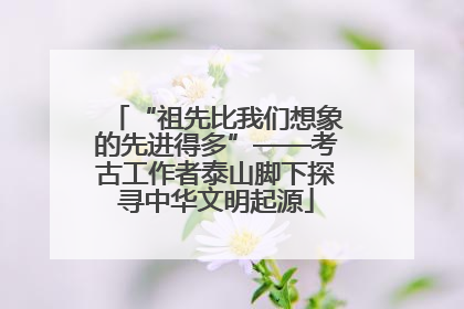 “祖先比我们想象的先进得多”——考古工作者泰山脚下探寻中华文明起源
