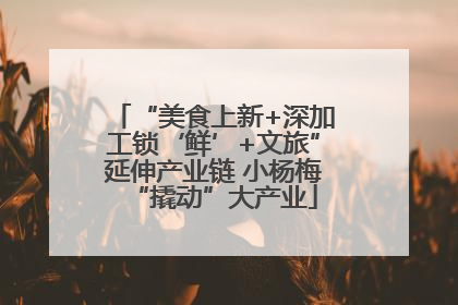 “美食上新+深加工锁‘鲜’+文旅”延伸产业链 小杨梅“撬动”大产业
