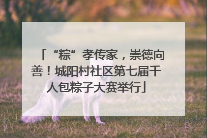 “粽”孝传家，崇德向善！城阳村社区第七届千人包粽子大赛举行