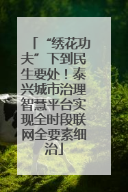 “绣花功夫”下到民生要处！泰兴城市治理智慧平台实现全时段联网全要素细治