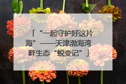 “一起守护好这片海”——天津渤海湾畔生态“蜕变记”