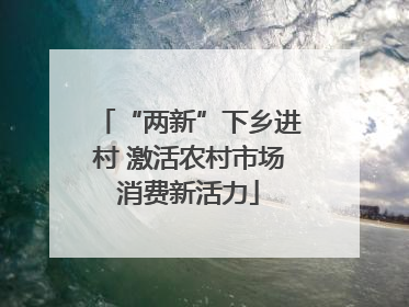 “两新”下乡进村 激活农村市场消费新活力