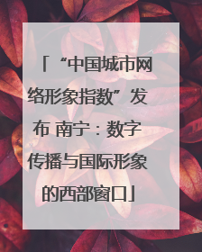 “中国城市网络形象指数”发布 南宁：数字传播与国际形象的西部窗口
