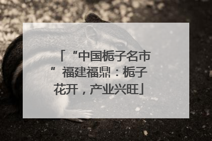 “中国栀子名市”福建福鼎：栀子花开，产业兴旺