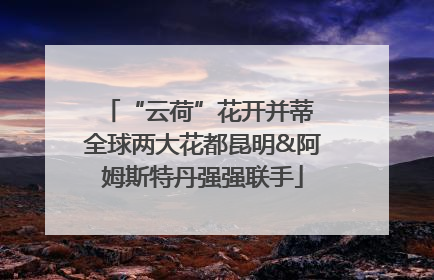 “云荷”花开并蒂 全球两大花都昆明&阿姆斯特丹强强联手