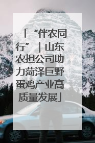 “伴农同行”｜山东农担公司助力菏泽巨野蛋鸡产业高质量发展