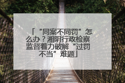 “同案不同罚”怎么办？湘阴行政检察监督着力破解“过罚不当”难题