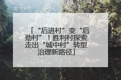 “后进村”变“后劲村”！胜利村探索走出“城中村”转型治理新路径