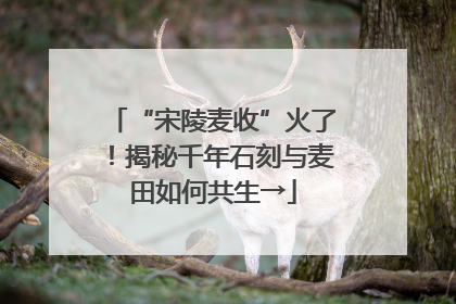 “宋陵麦收”火了！揭秘千年石刻与麦田如何共生→