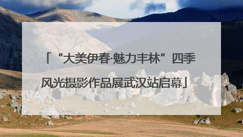“大美伊春·魅力丰林”四季风光摄影作品展武汉站启幕