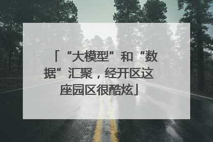 “大模型”和“数据”汇聚，经开区这座园区很酷炫