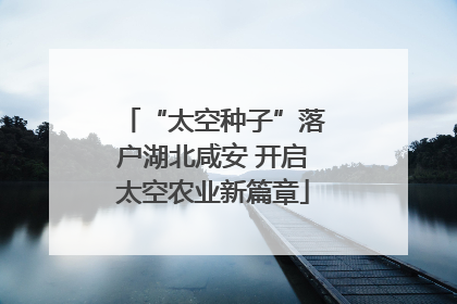 “太空种子”落户湖北咸安 开启太空农业新篇章