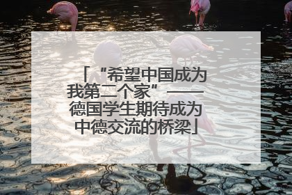 “希望中国成为我第二个家”——德国学生期待成为中德交流的桥梁