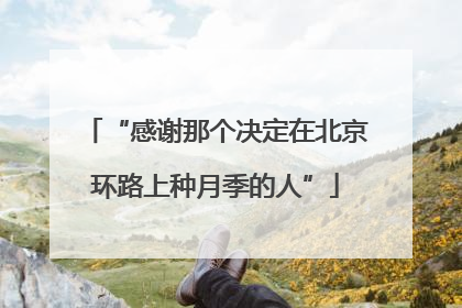 “感谢那个决定在北京环路上种月季的人”