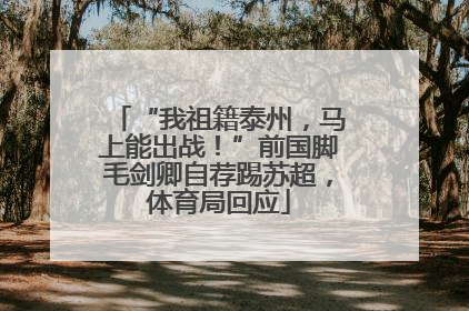 “我祖籍泰州，马上能出战！”前国脚毛剑卿自荐踢苏超，体育局回应
