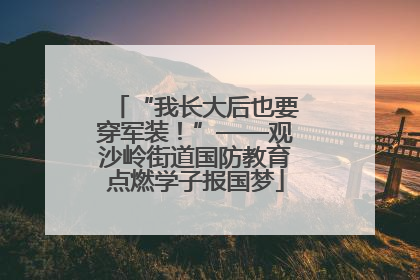 “我长大后也要穿军装！”——观沙岭街道国防教育点燃学子报国梦