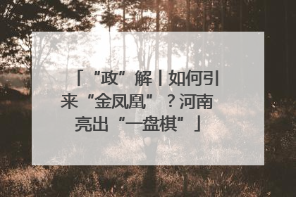 “政”解丨如何引来“金凤凰”？河南亮出“一盘棋”