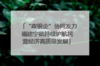 “政银企”协同发力 福建宁德持续护航民营经济高质量发展