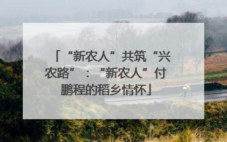 “新农人”共筑“兴农路”：“新农人”付鹏程的稻乡情怀