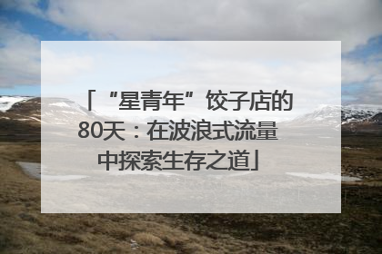 “星青年”饺子店的80天：在波浪式流量中探索生存之道