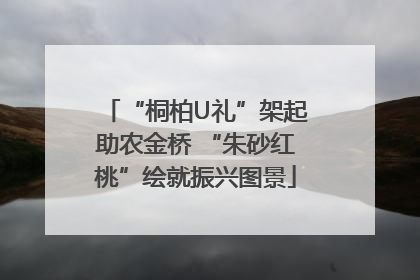 “桐柏U礼”架起助农金桥 “朱砂红桃”绘就振兴图景