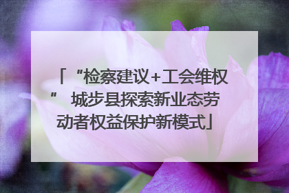 “检察建议+工会维权” 城步县探索新业态劳动者权益保护新模式