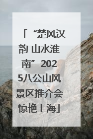 “楚风汉韵 山水淮南”2025八公山风景区推介会惊艳上海