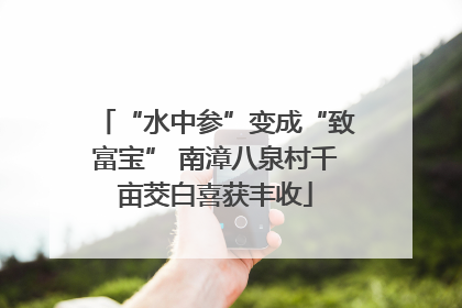 “水中参”变成“致富宝” 南漳八泉村千亩茭白喜获丰收