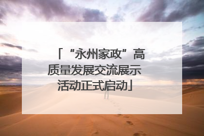 “永州家政”高质量发展交流展示活动正式启动