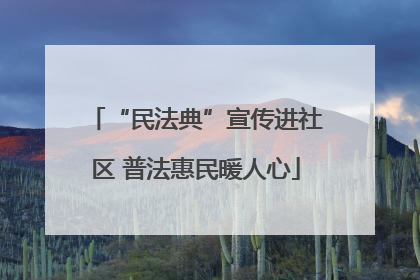 “民法典”宣传进社区 普法惠民暖人心