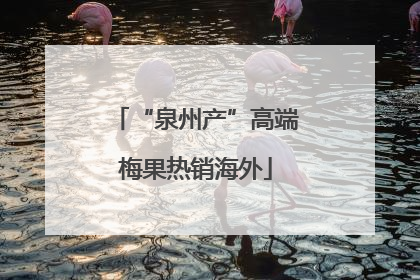 “泉州产”高端梅果热销海外