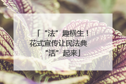 “法”趣横生！花式宣传让民法典“活”起来