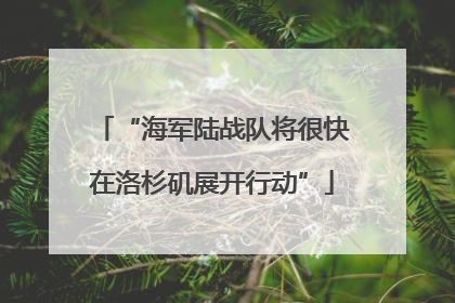 “海军陆战队将很快在洛杉矶展开行动”