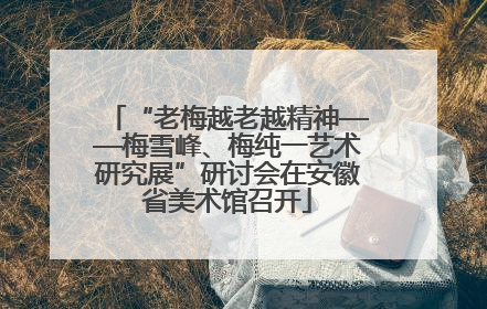 “老梅越老越精神——梅雪峰、梅纯一艺术研究展”研讨会在安徽省美术馆召开