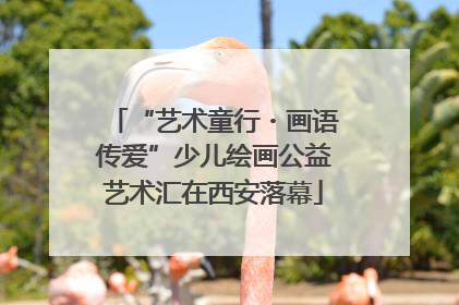 “艺术童行・画语传爱”少儿绘画公益艺术汇在西安落幕