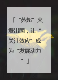 “苏超”火爆出圈，让“关注效应”成为“发展动力”